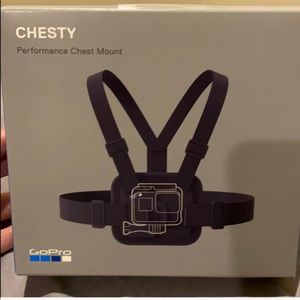 GoPro Hero 2 with Chesty accessories